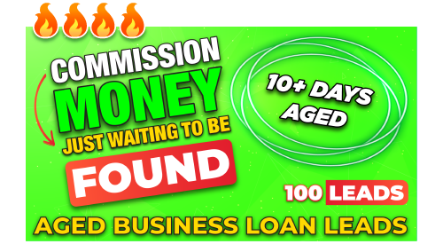 Aged Business Loan and MCA Leads for Business Loan Brokers