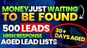 Aged Merchant Cash Advance Lead Generation