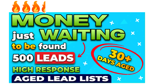 Aged Business Loan Leads 30 Days to 12 Months.