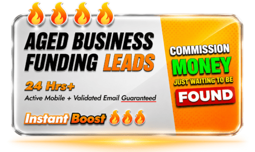 Recent aged business funding leads graphic by Lead Tycoons featuring 24 hour plus aged MCA and business loan leads with active mobile phone numbers and validated email data for merchant cash advance brokers, business loan brokers, and funding companies. Promotional design highlights high intent business funding opportunities, commission generation potential, real time outreach capability, and premium lead generation services for the alternative lending industry