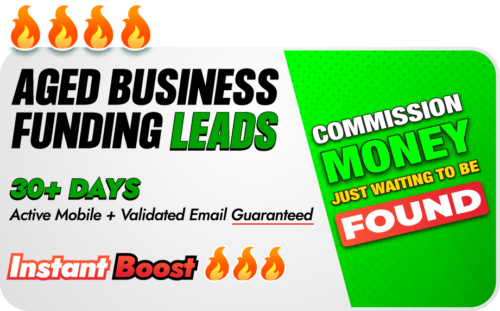 A lead list of 30+ Day Aged Business Funding Leads featuring business names, contact details of businesses that have recently been interested in business financing options.