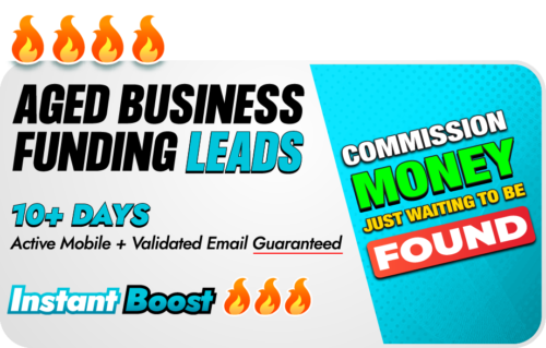 A lead list of 10+ Day Aged Business Funding Leads featuring business names, contact details of businesses that have recently been interested in business financing options.